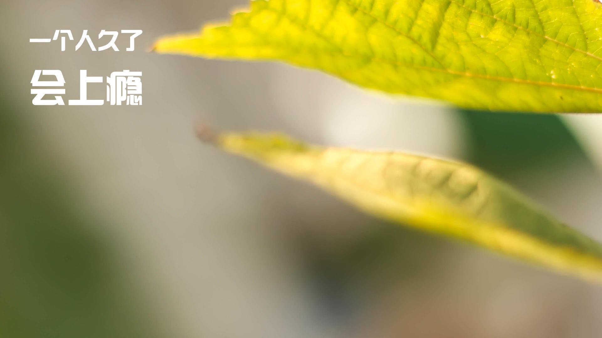 华体会登录-绿茵场平行时空，当斯通斯的数据幽灵主导法国与洪都拉斯的午夜之战